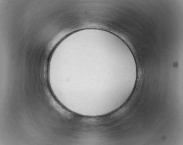 X0000112871054200909181820