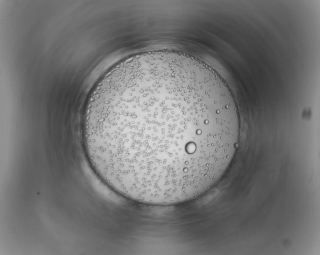 X0000112871055200909181820