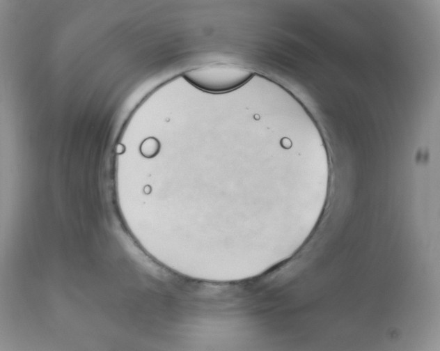 X0000112871056200909181820