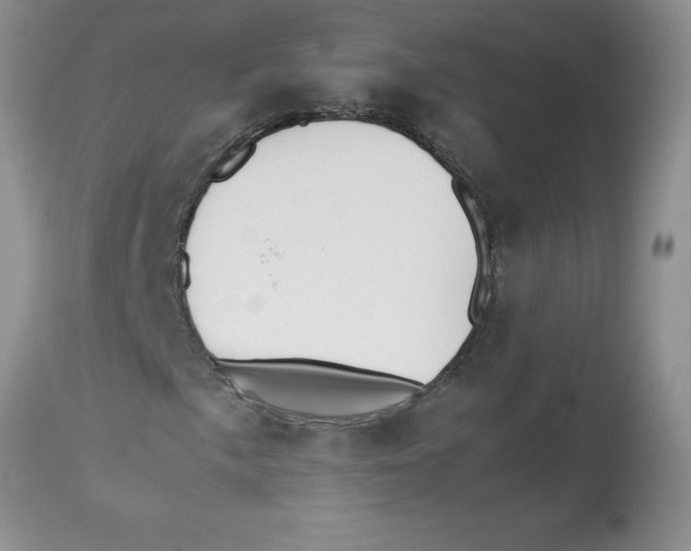 X0000112871057200909181819