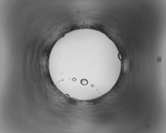 X0000112871059200909181819