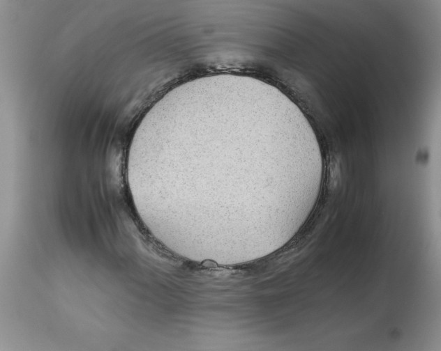 X0000112871060200909181819