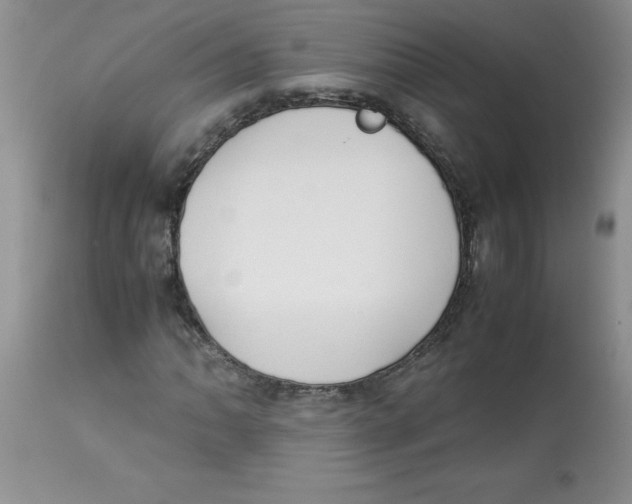 X0000112871062200909181819