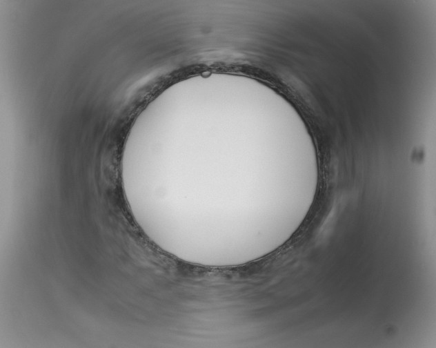 X0000112871063200909181819