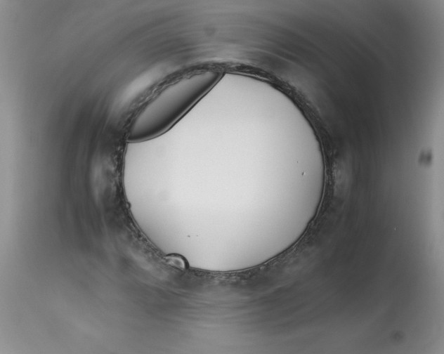 X0000112871064200909181819