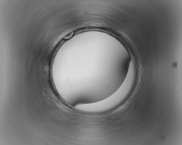 X0000112871065200909181819