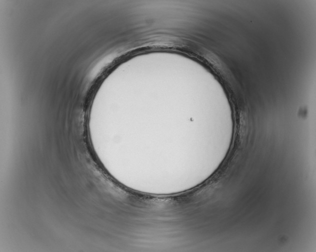 X0000112871067200909181819