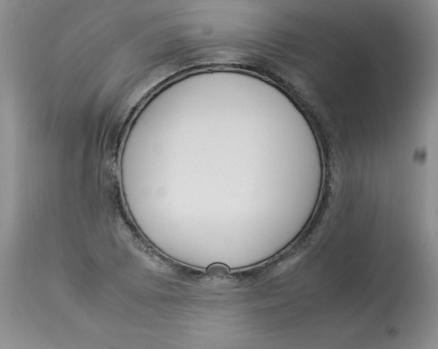 X0000112871073200909181819