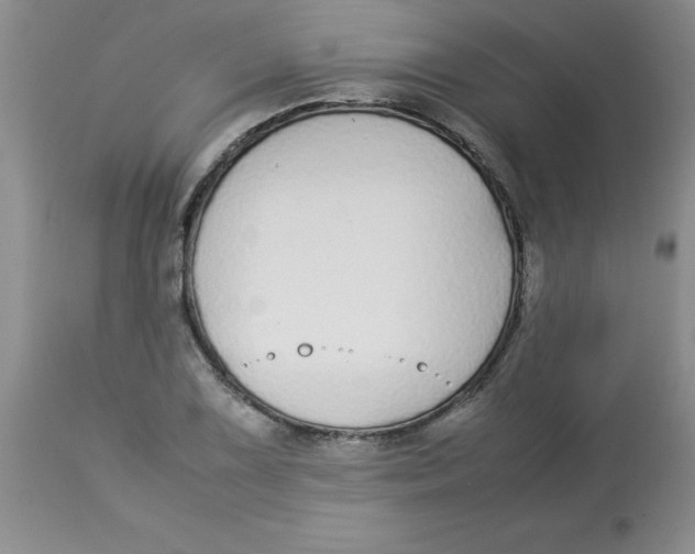 X0000112871075200909181819