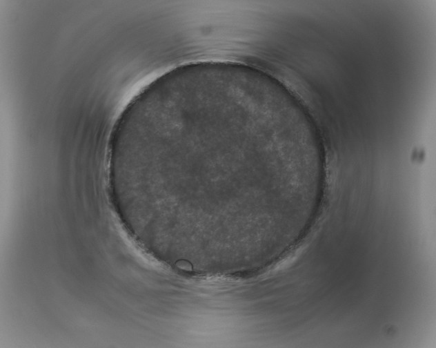 X0000112871077200909181819