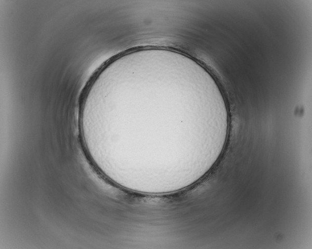 X0000112871079200909181819