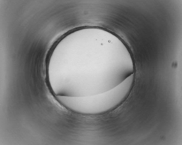 X0000112871080200909181819