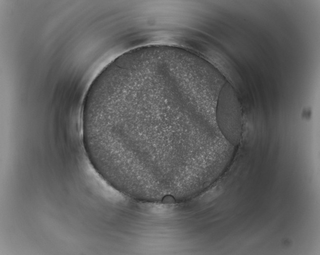 X0000112871084200909181819