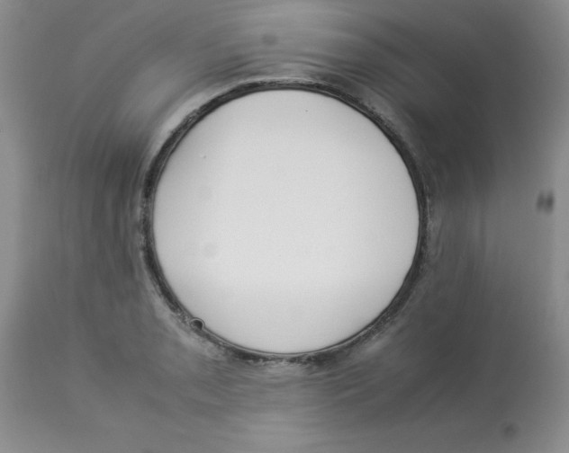 X0000112871085200909181819