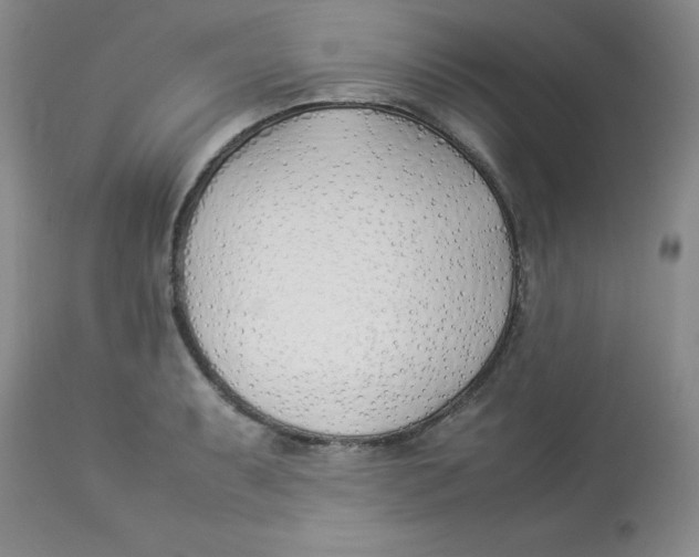 X0000112871087200909181819