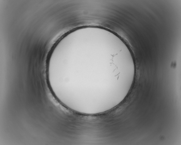 X0000112871088200909181819