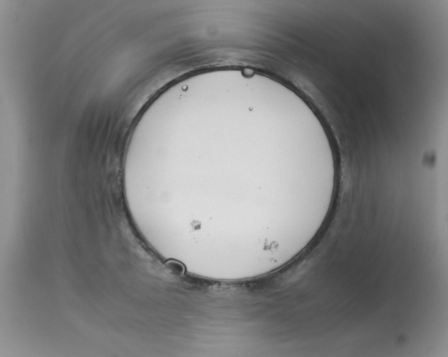 X0000112871089200909181819