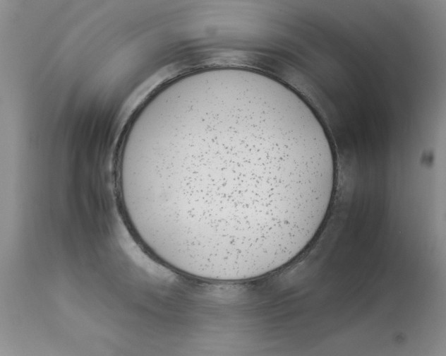 X0000112871090200909181819