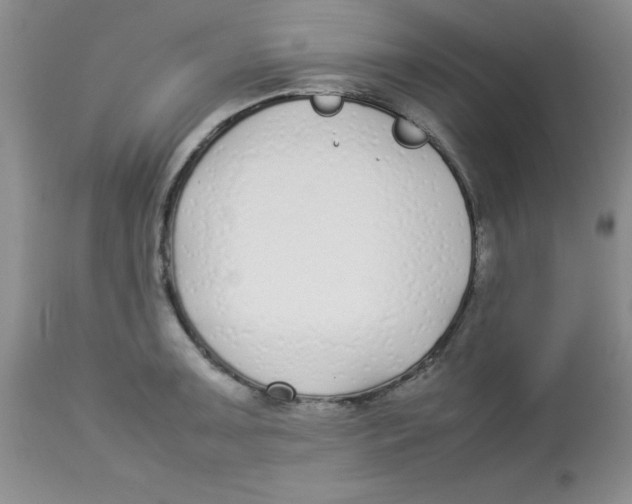 X0000112871091200909181819