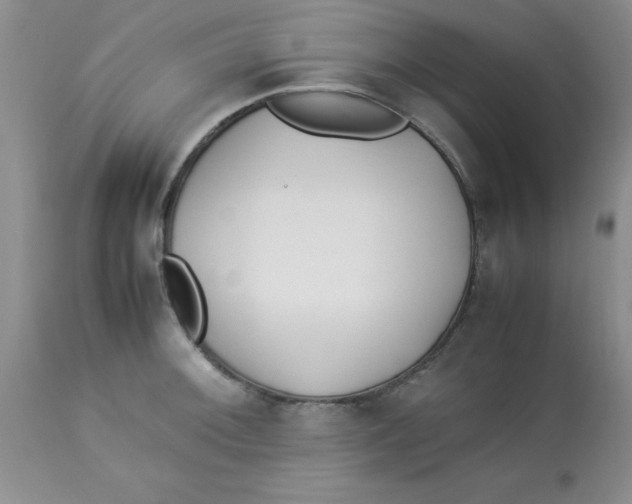 X0000112871092200909181819