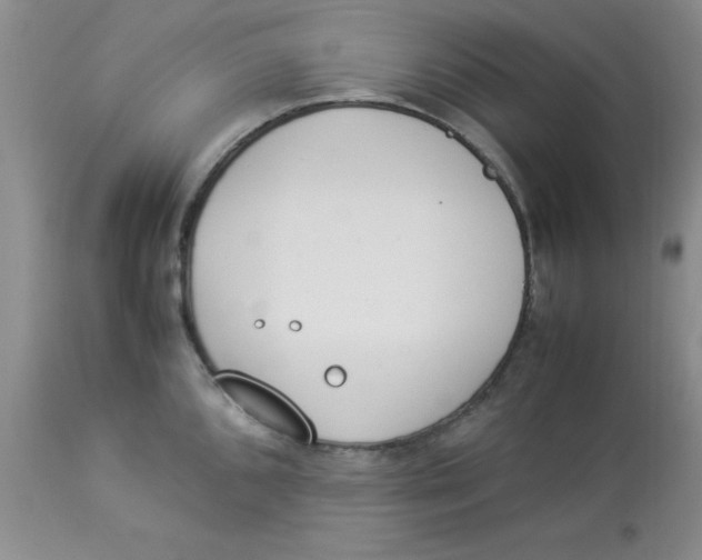 X0000112871096200909181819