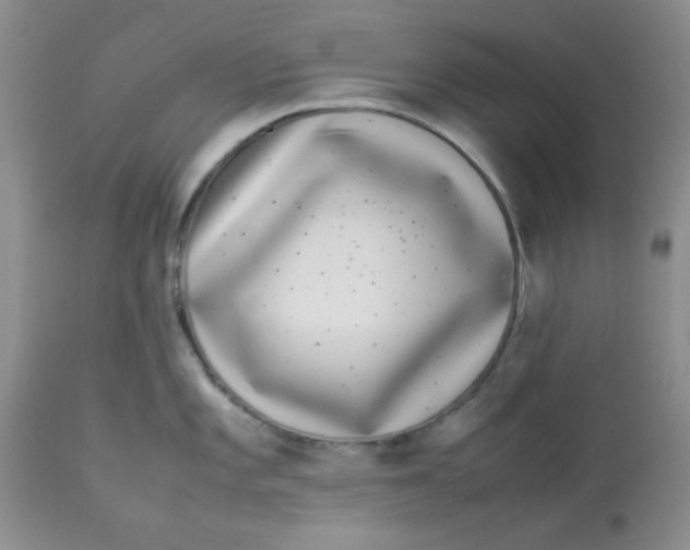 X0000112871101200909181819