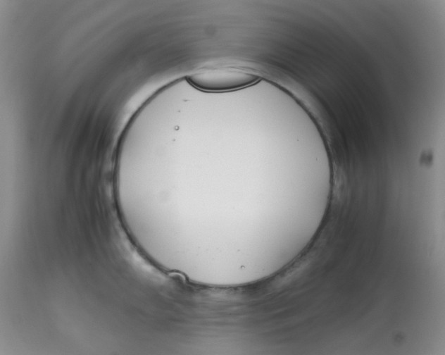 X0000112871102200909181819