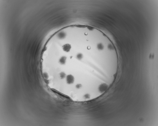 X0000112871104200909181819