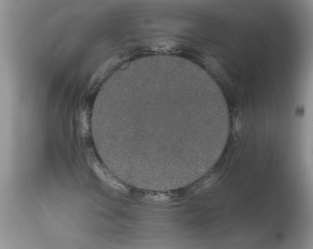 X0000112871106200909181818