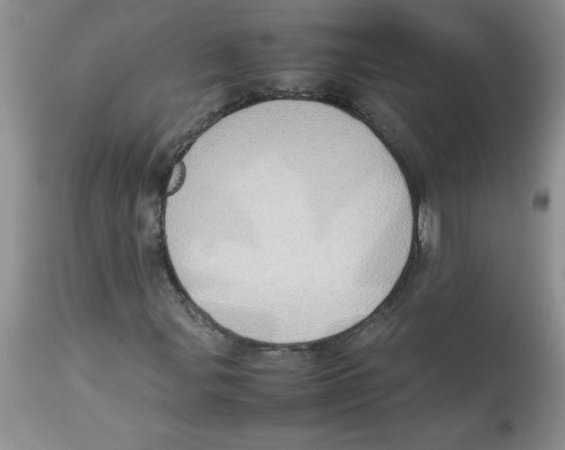 X0000112871107200909181818