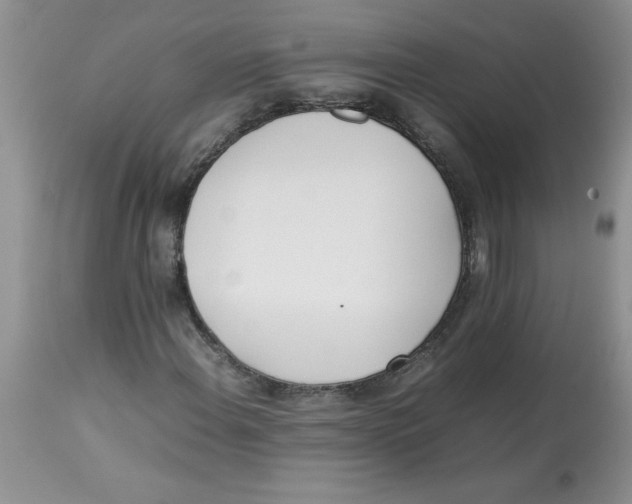 X0000112871108200909181818