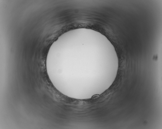 X0000112871109200909181818