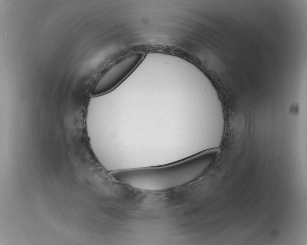 X0000112871110200909181818