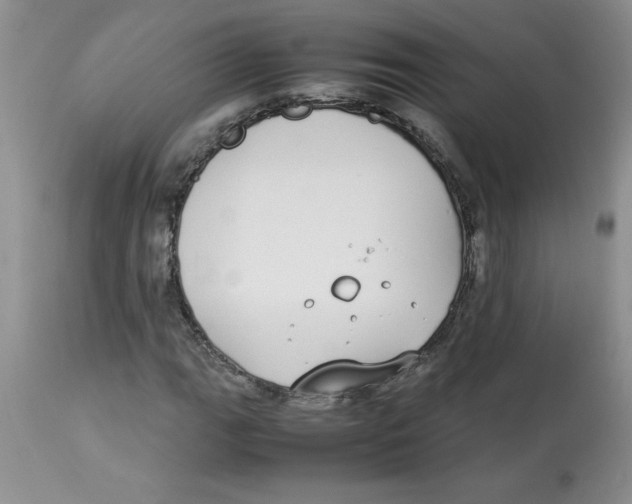 X0000112871111200909181818