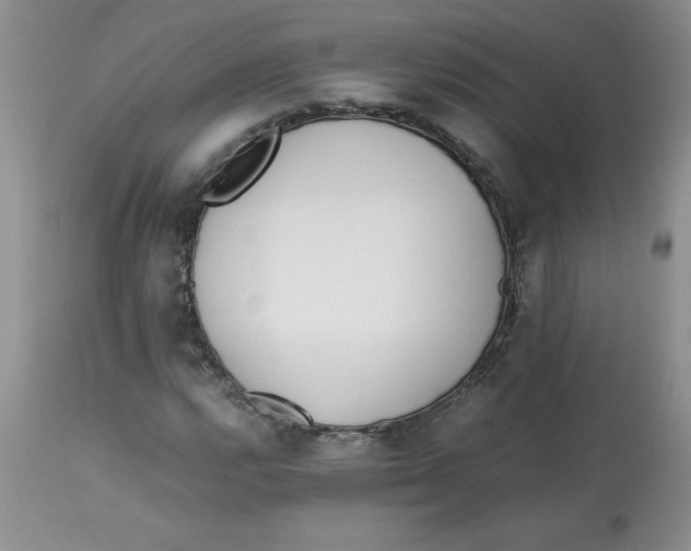 X0000112871112200909181818