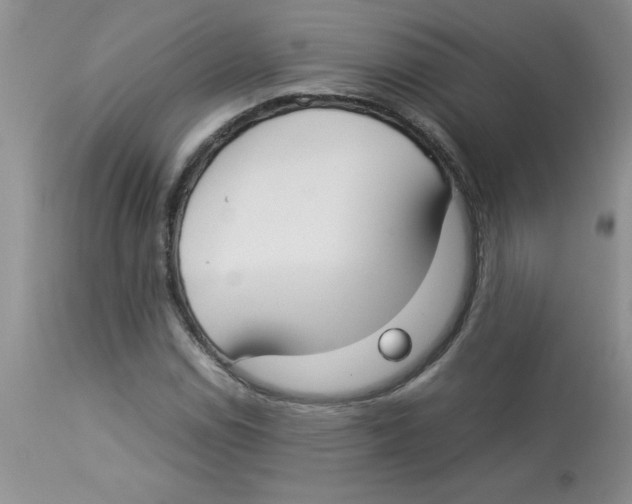 X0000112871114200909181818