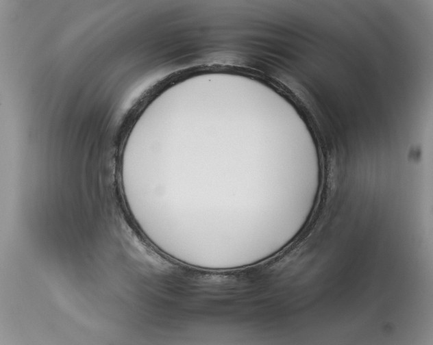 X0000112871115200909181818