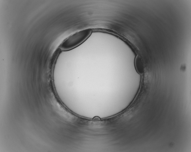 X0000112871116200909181818