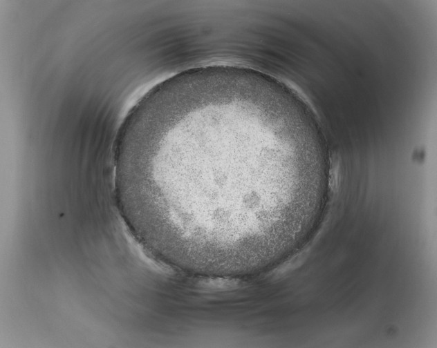 X0000112871117200909181818