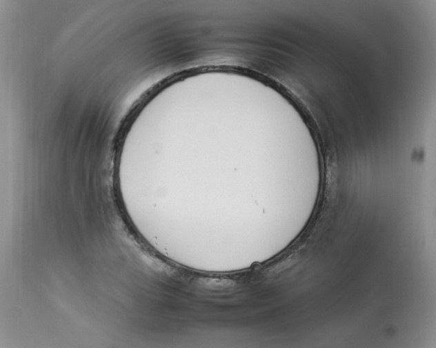 X0000112871119200909181818