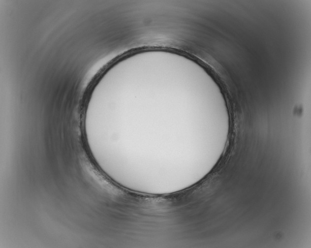 X0000112871120200909181818