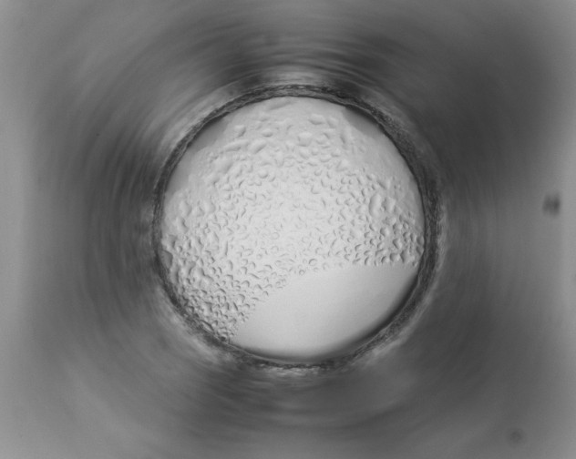 X0000112871121200909181818