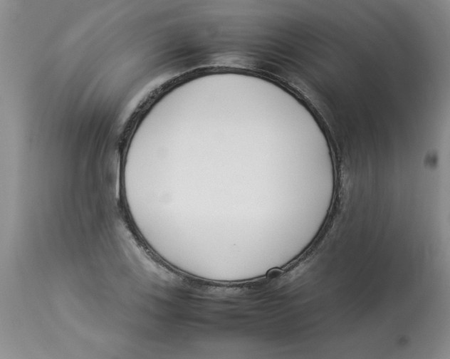 X0000112871123200909181818