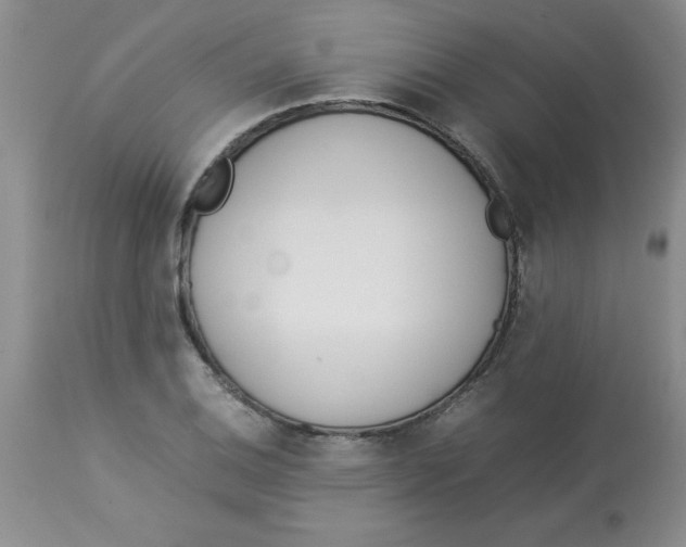 X0000112871124200909181818