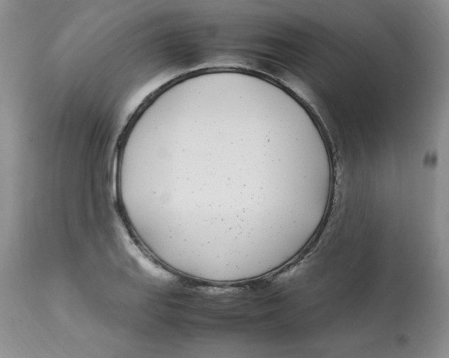 X0000112871127200909181818