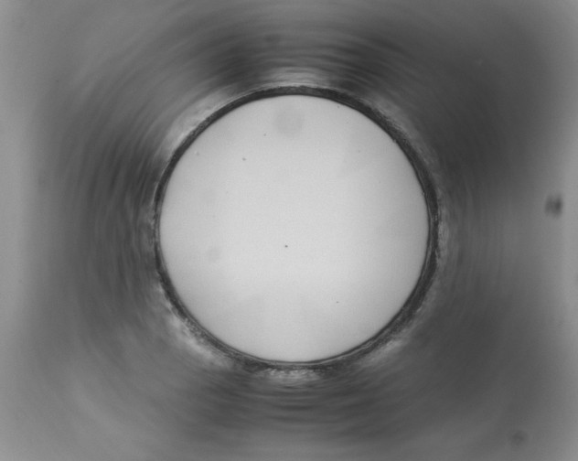 X0000112871129200909181818