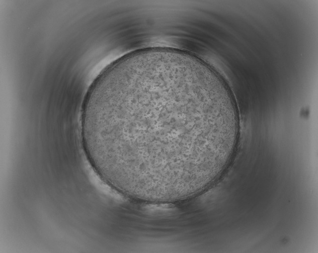 X0000112871133200909181818