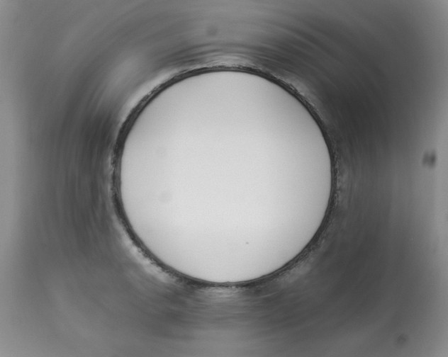 X0000112871134200909181818