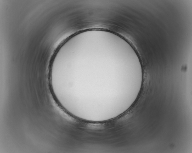 X0000112871135200909181818