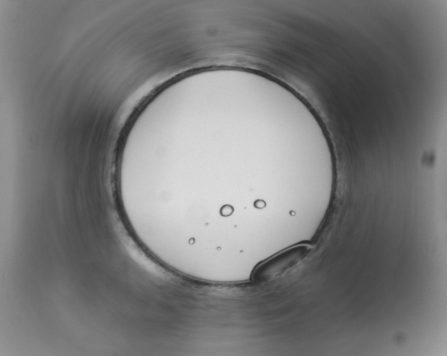 X0000112871136200909181818